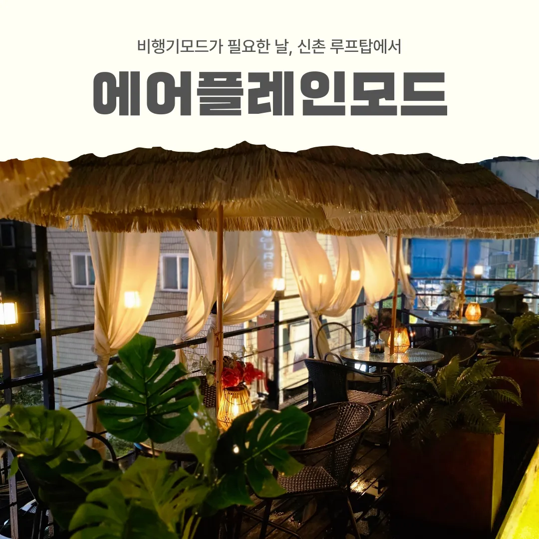 에어플레인모드