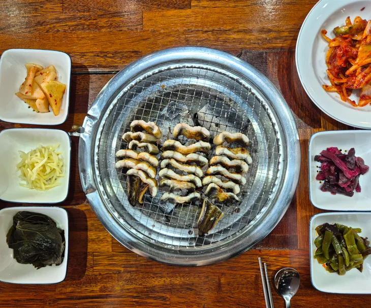 [양양군] 낙산가 강력한장어들