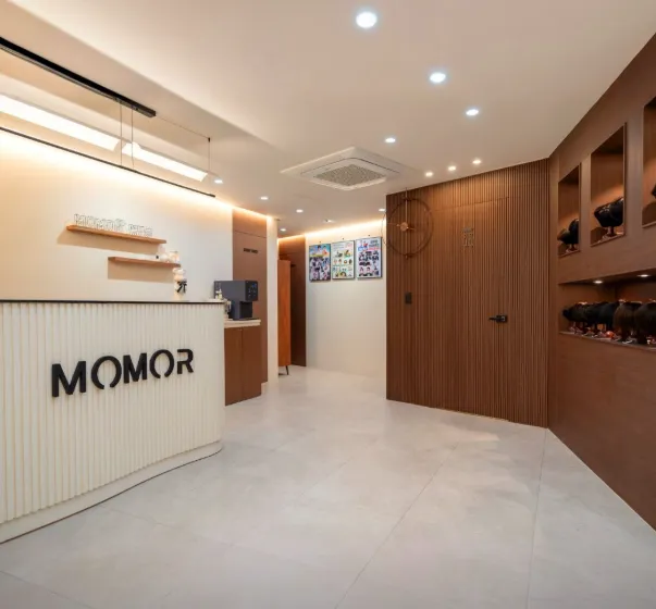 [강남구] 모모란위그
