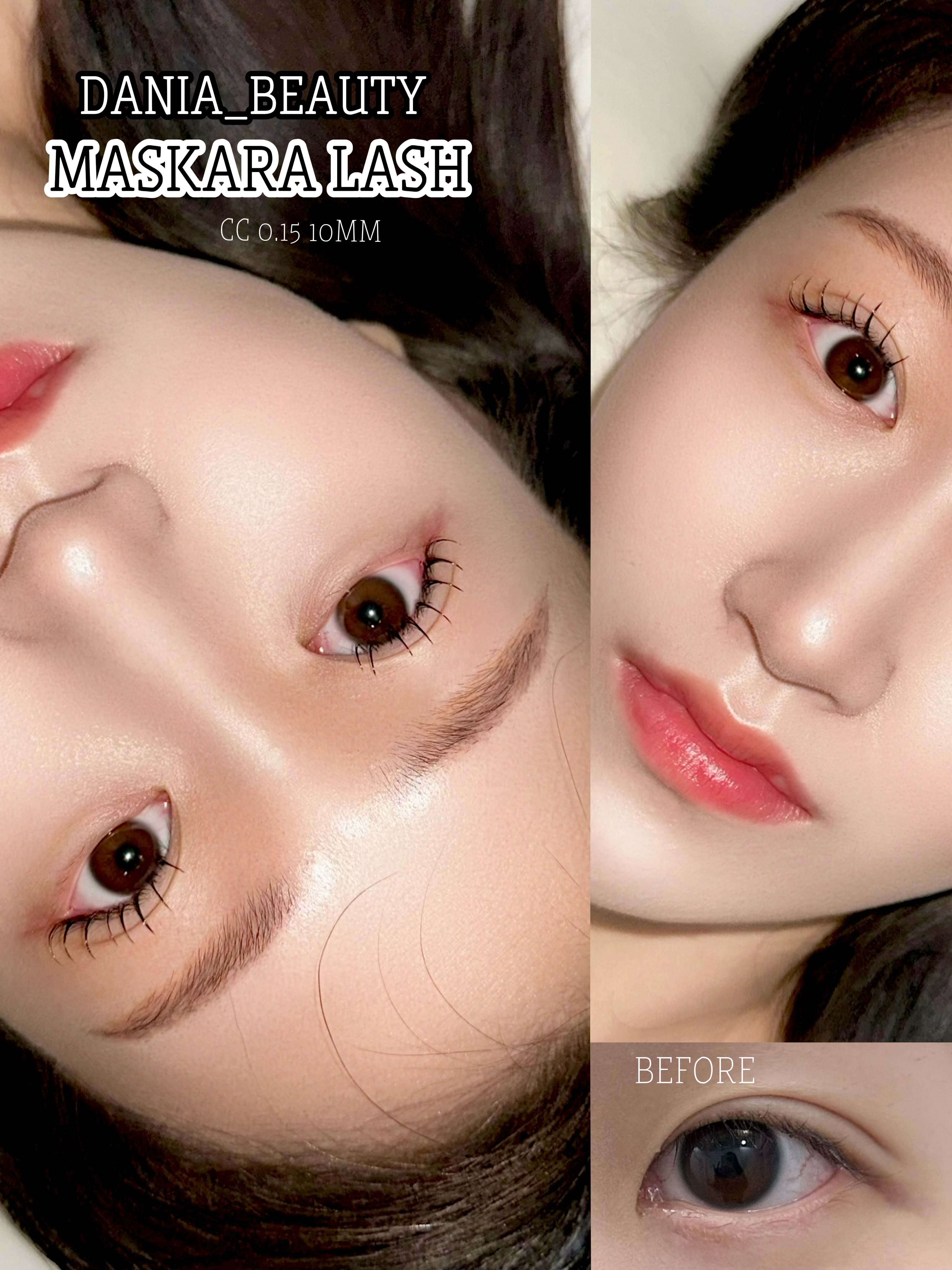 [부천시] 다니아