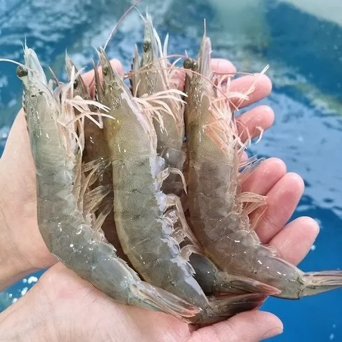 [마포구] 세모식당