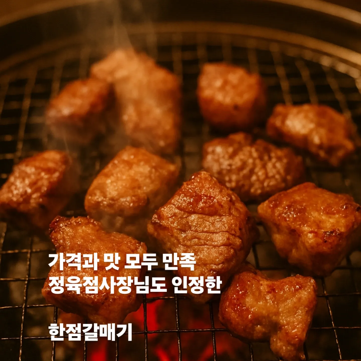 [중구] 한점갈매기