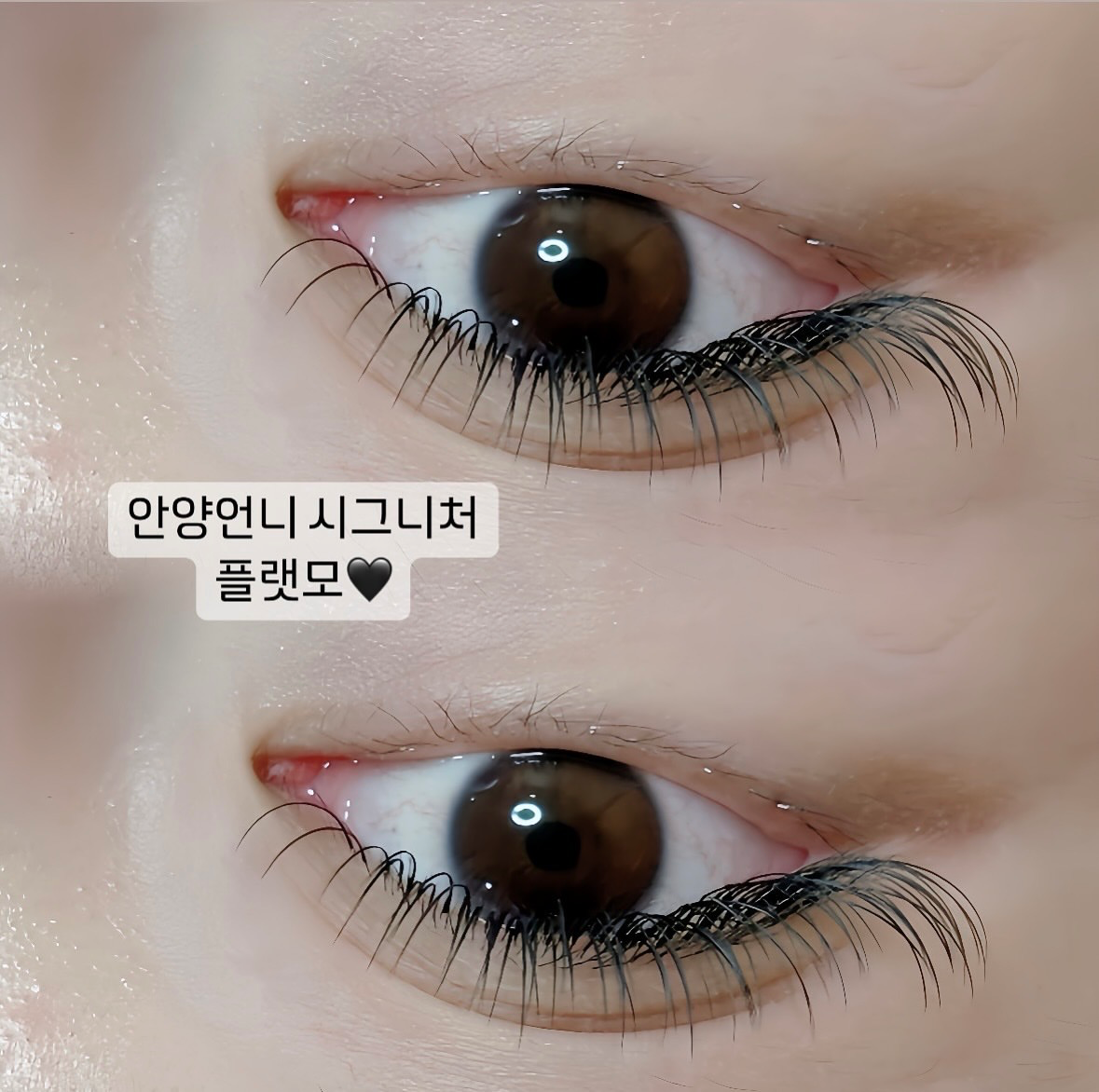 체험단 이미지