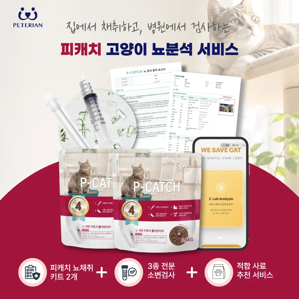 체험단 이미지