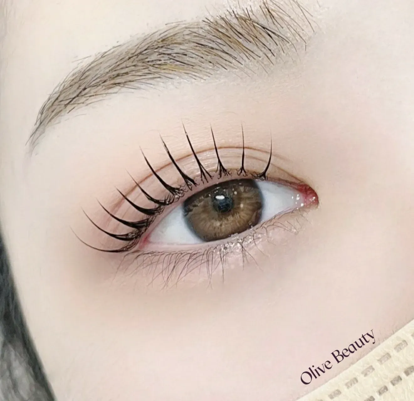 올리브뷰티 아카데미  이미지