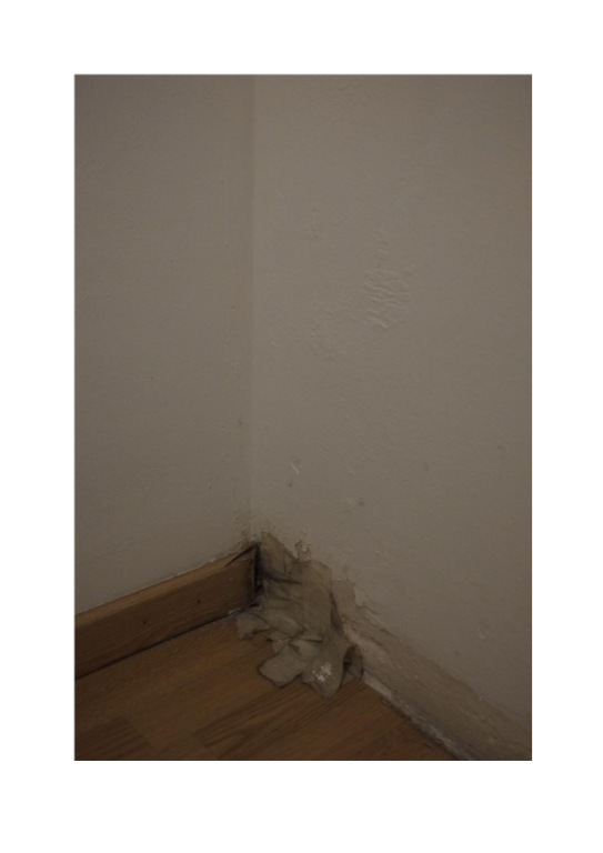 selected image