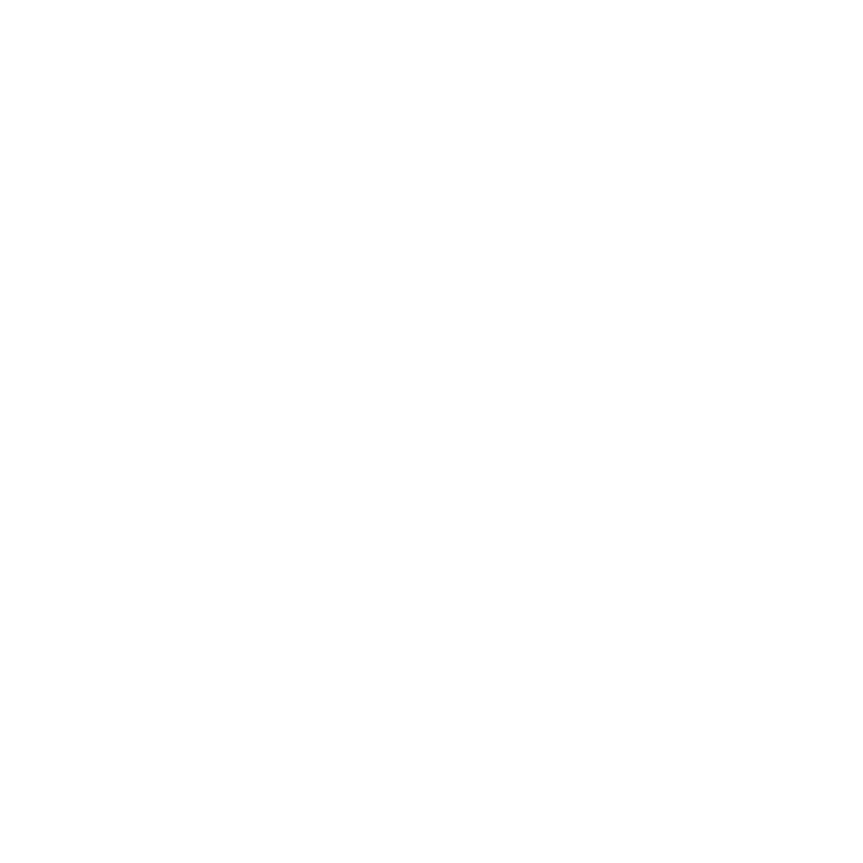 Weelz logo