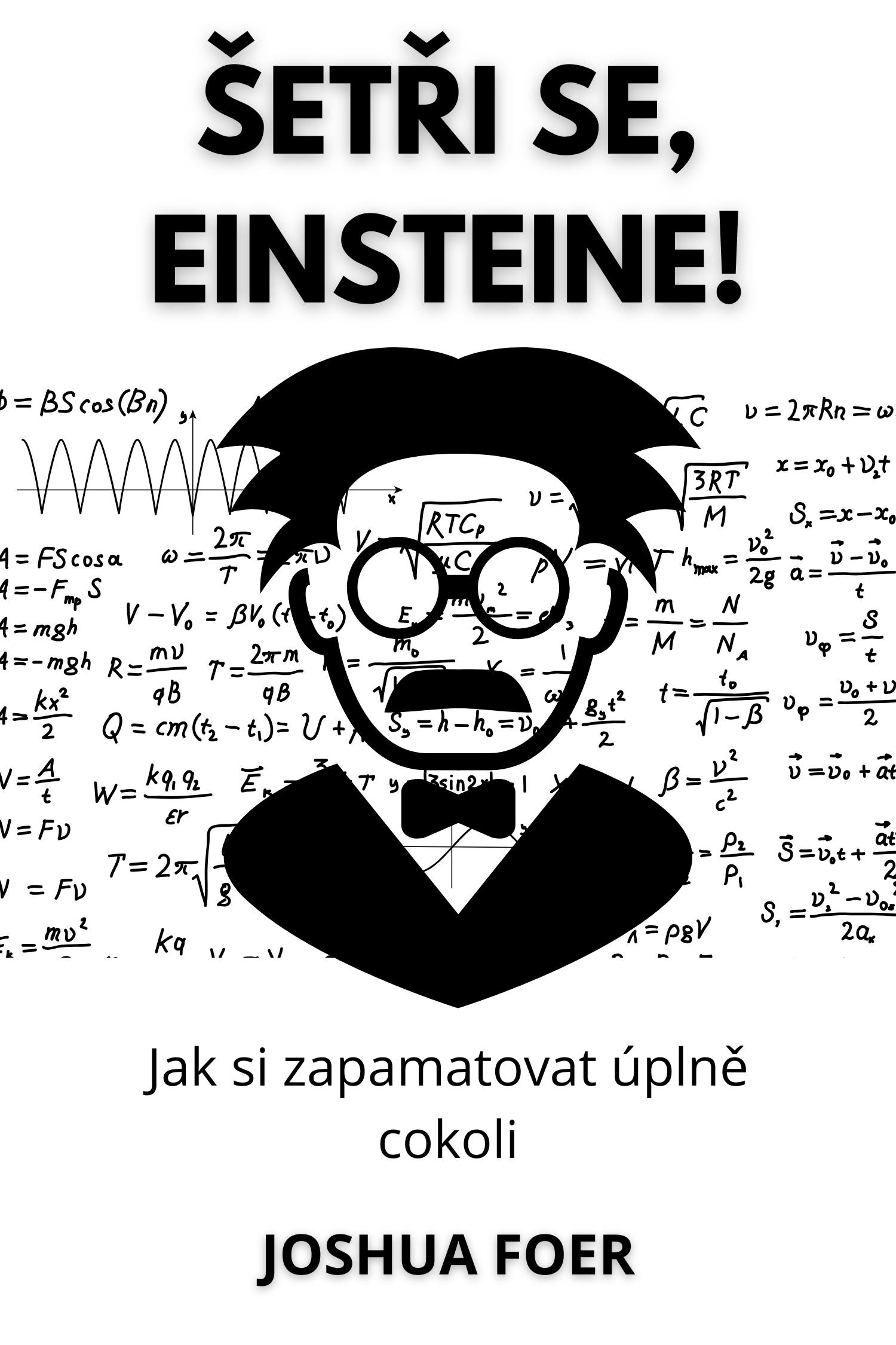Šetři se, Einsteine! · Joshua Foer