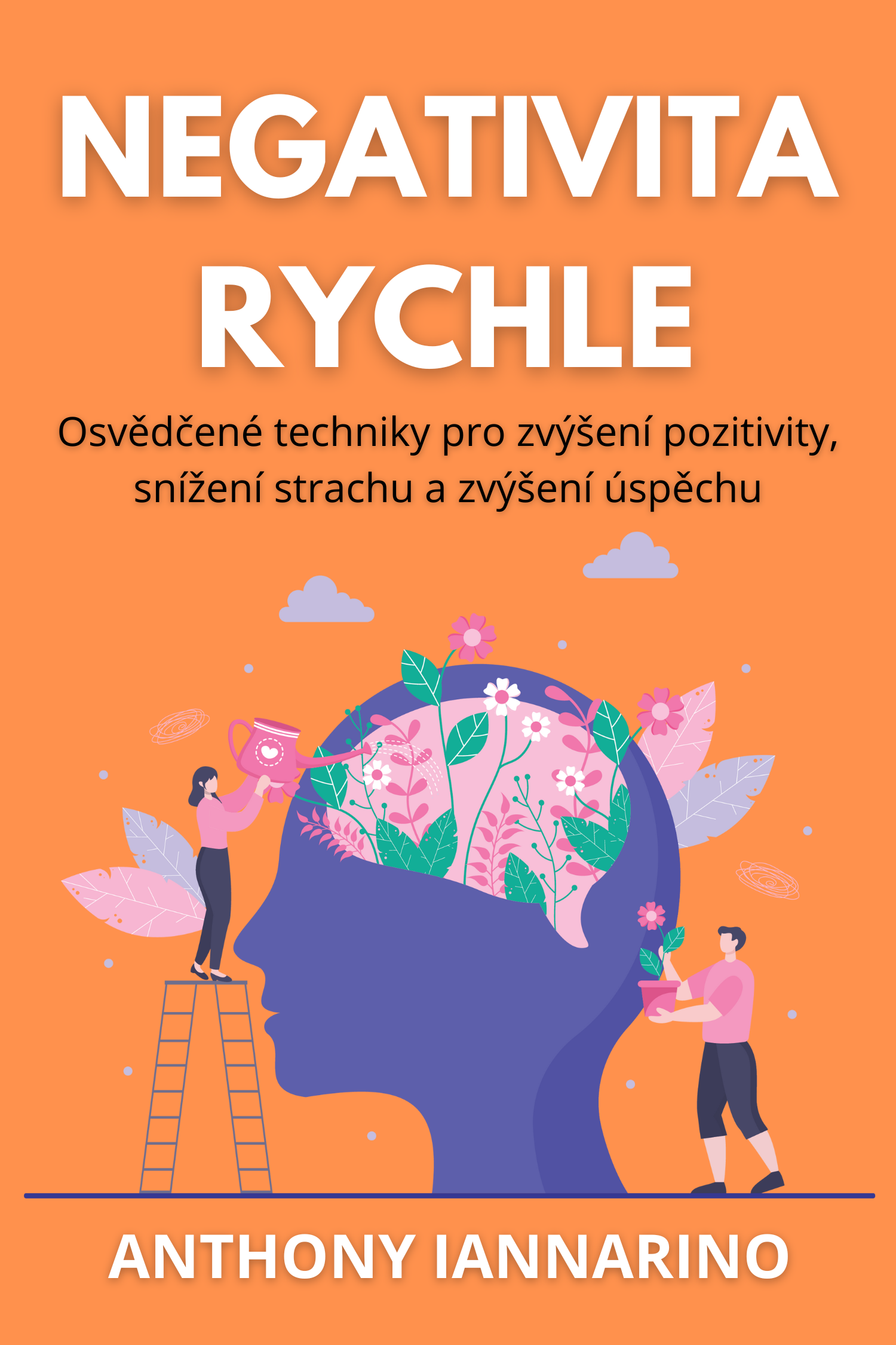 Negativita rychle · Anthony Iannarino