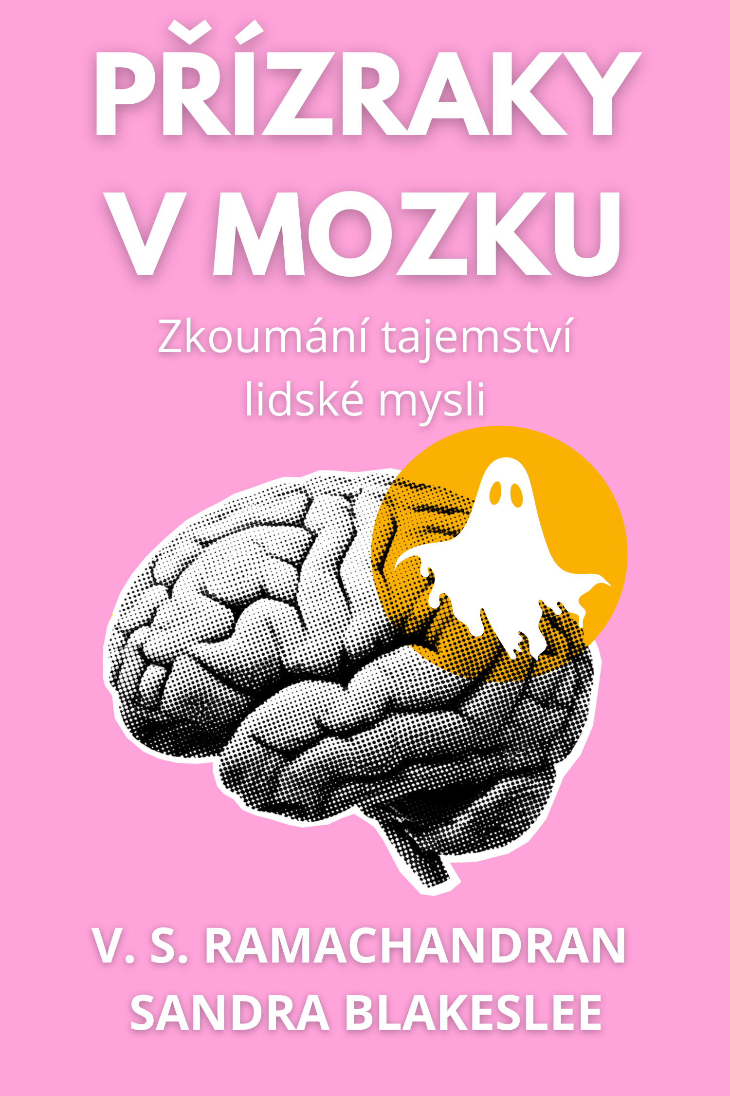 Přízraky v mozku · V. S. Ramachandran a Sandra Blakeslee