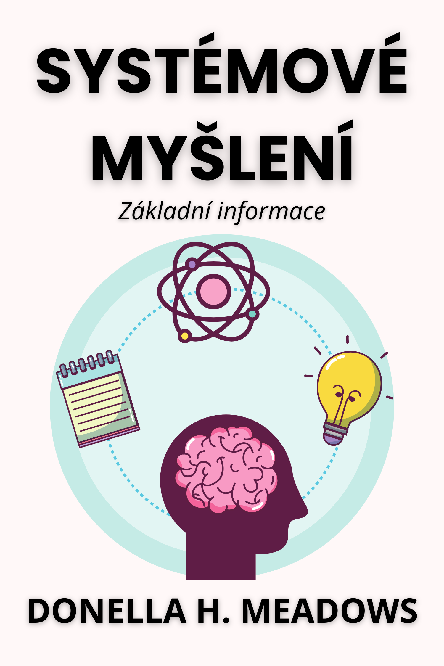 Systémové myšlení