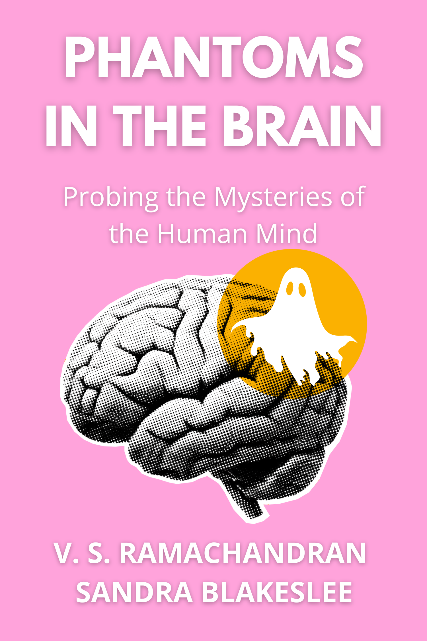 Phantoms in the Brain · V. S. Ramachandran and Sandra Blakeslee