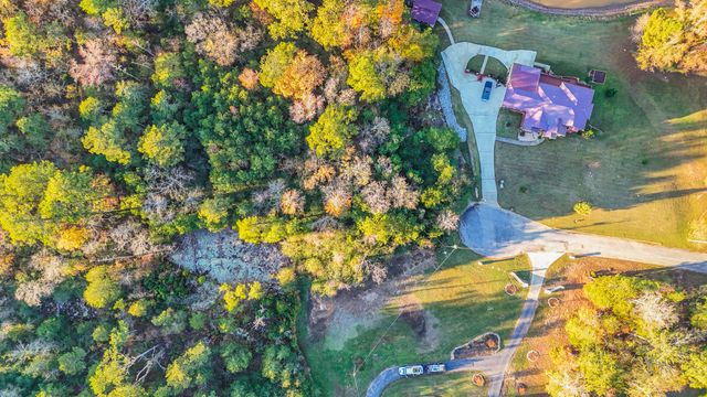 DJI_20241118162536_0131_D