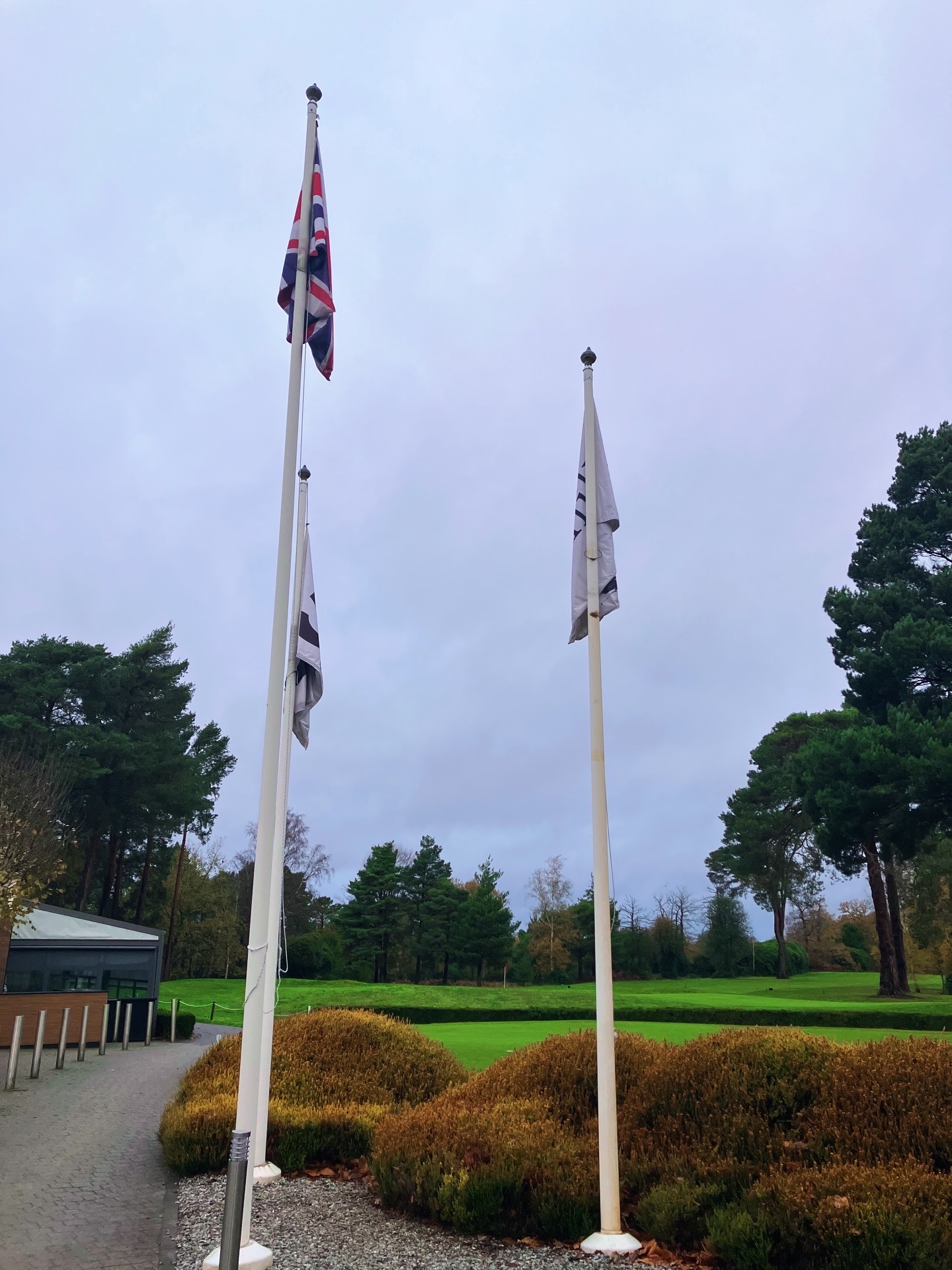 Cameron Lowe background