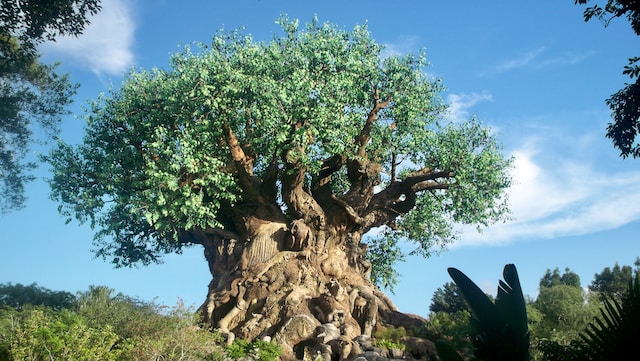 Animal Kingdom