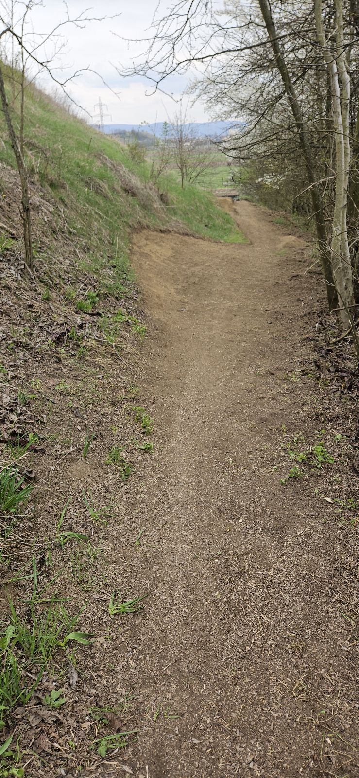 Spiky Trail trail photo 5