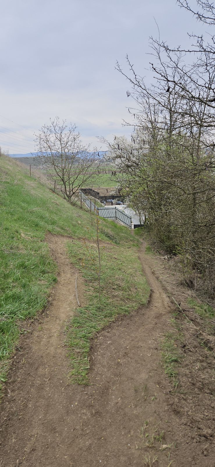 Spiky Trail trail photo 3