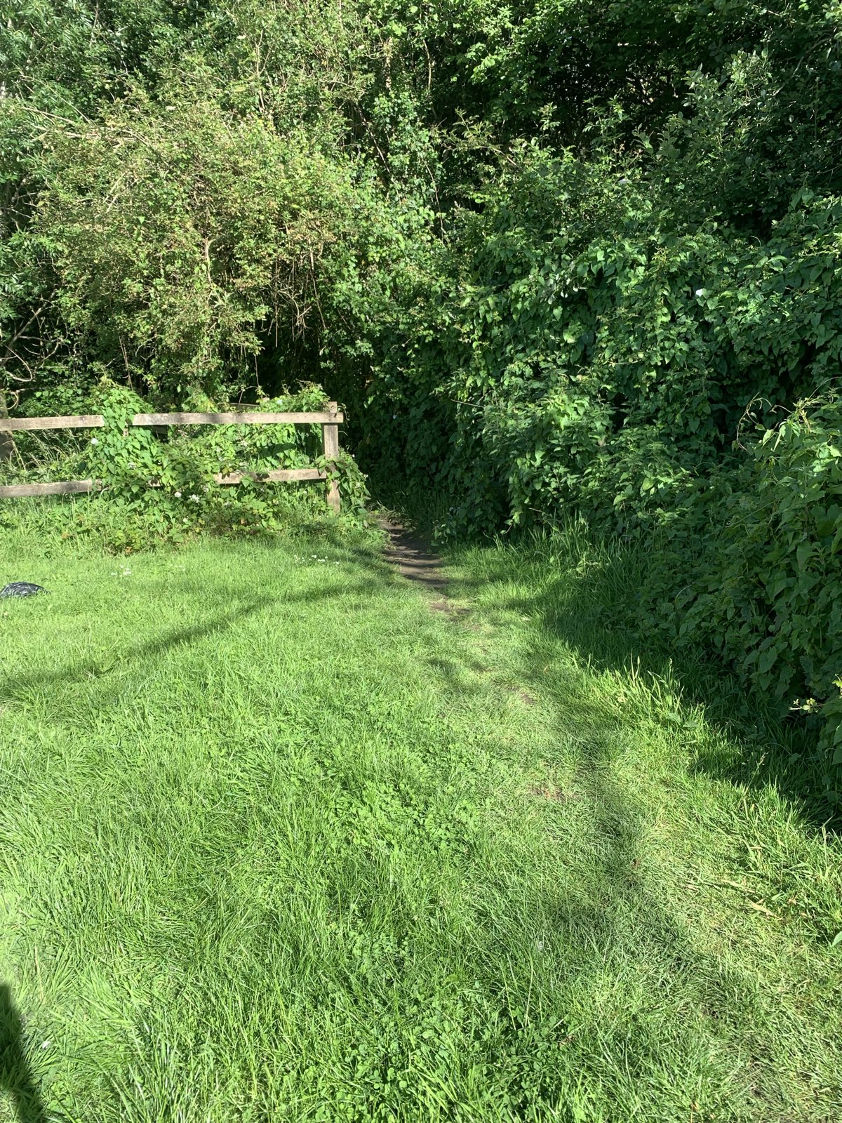 Westlands trail trail photo 4