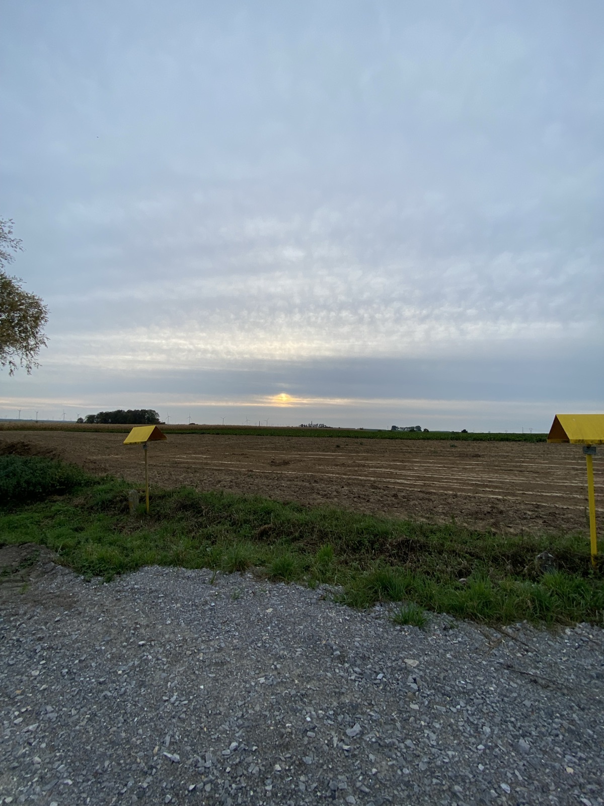 Vieux chemin trail photo 2