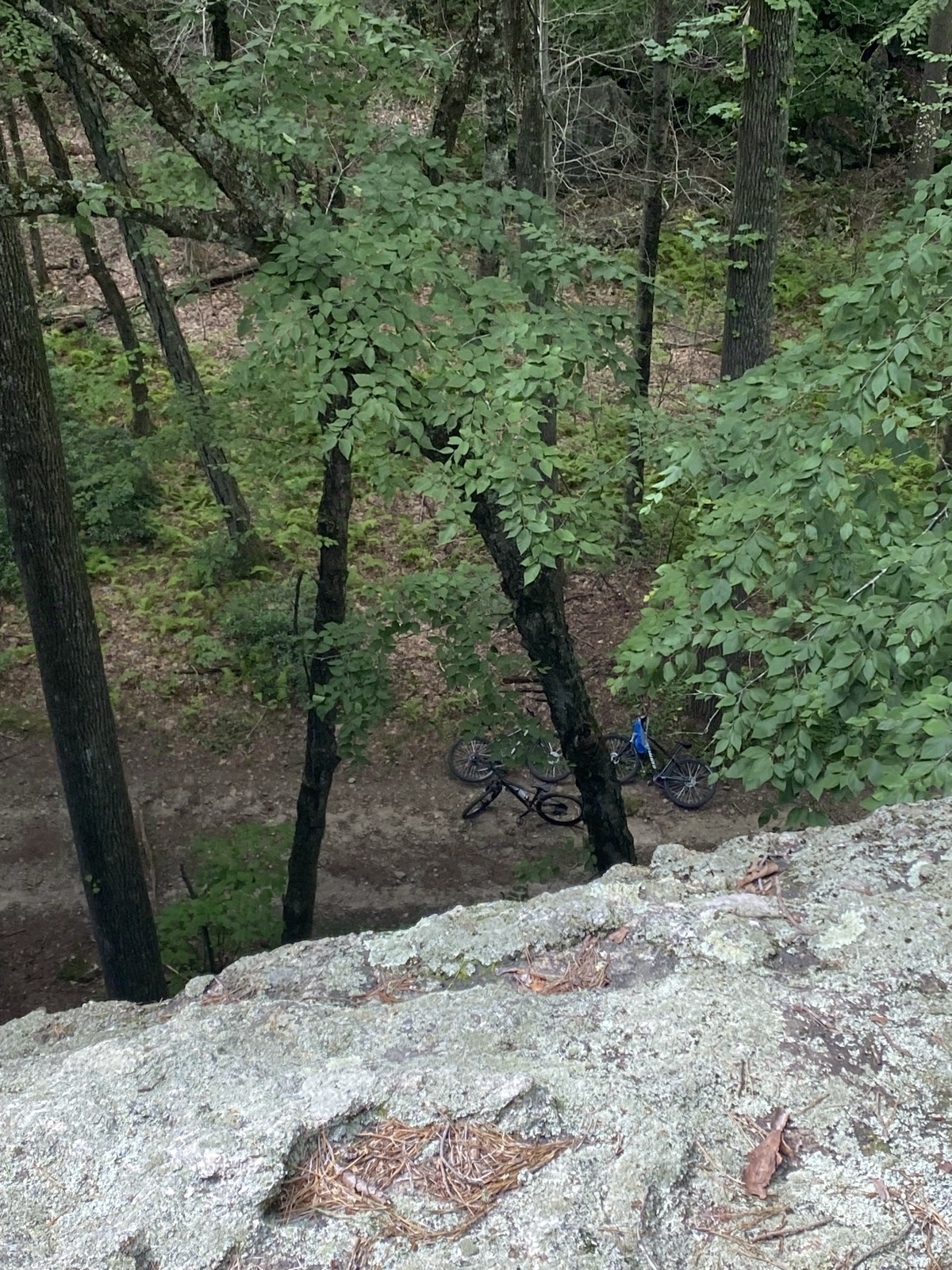 Huntington State Park trail photo 4