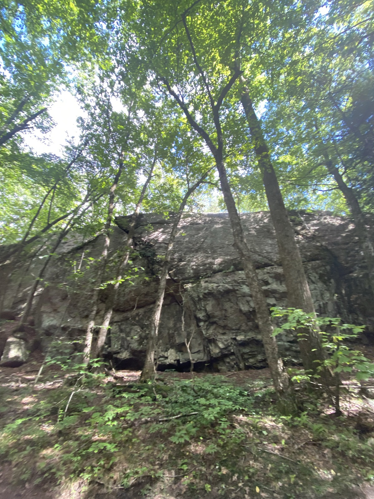 Huntington State Park trail photo 5