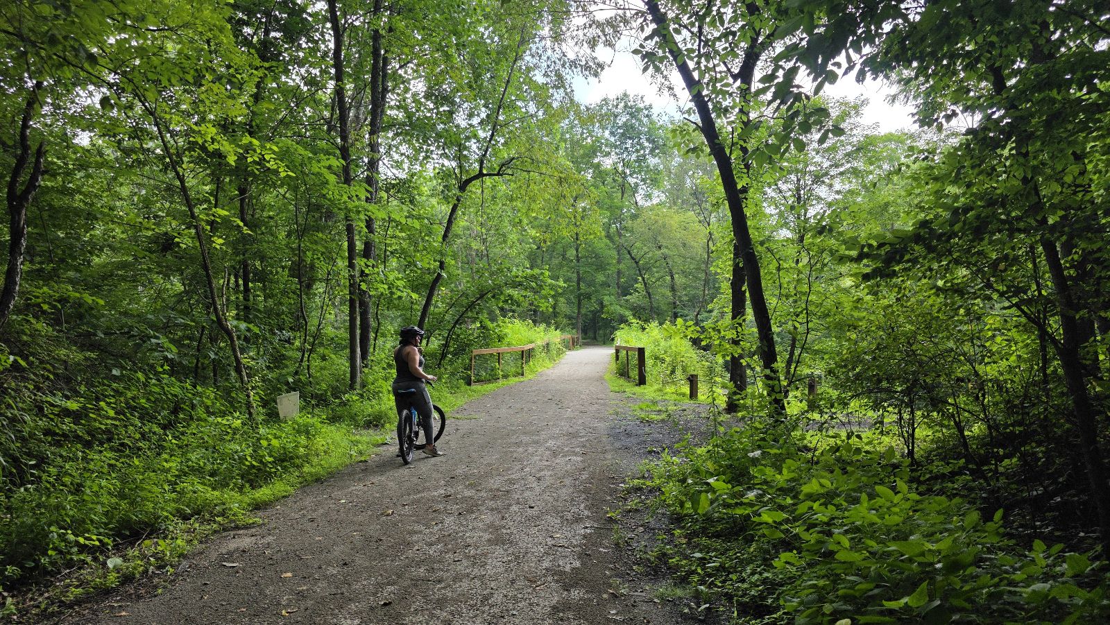 Hellbender Preserve Trail trail photo 4