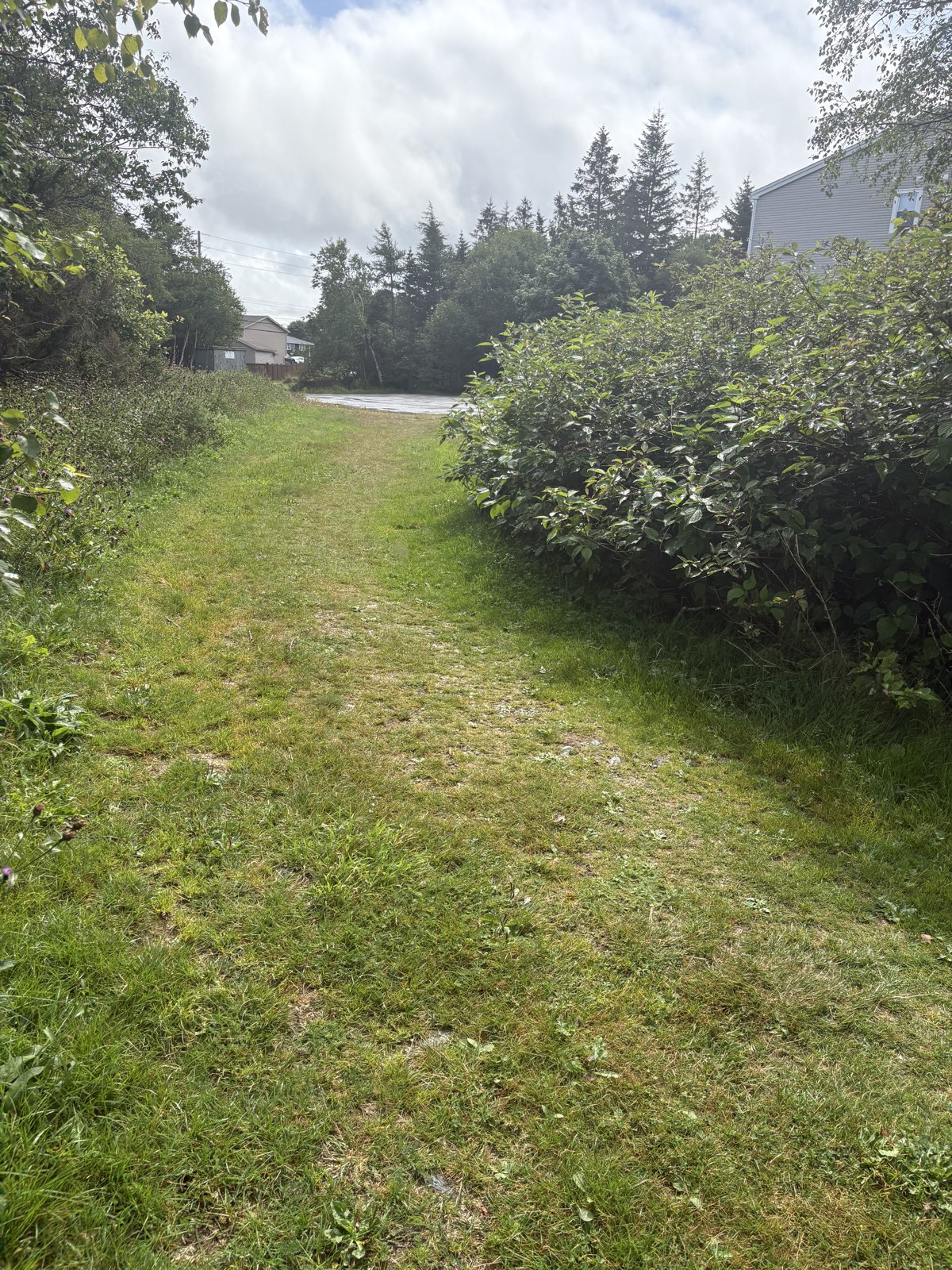No name trail photo 5