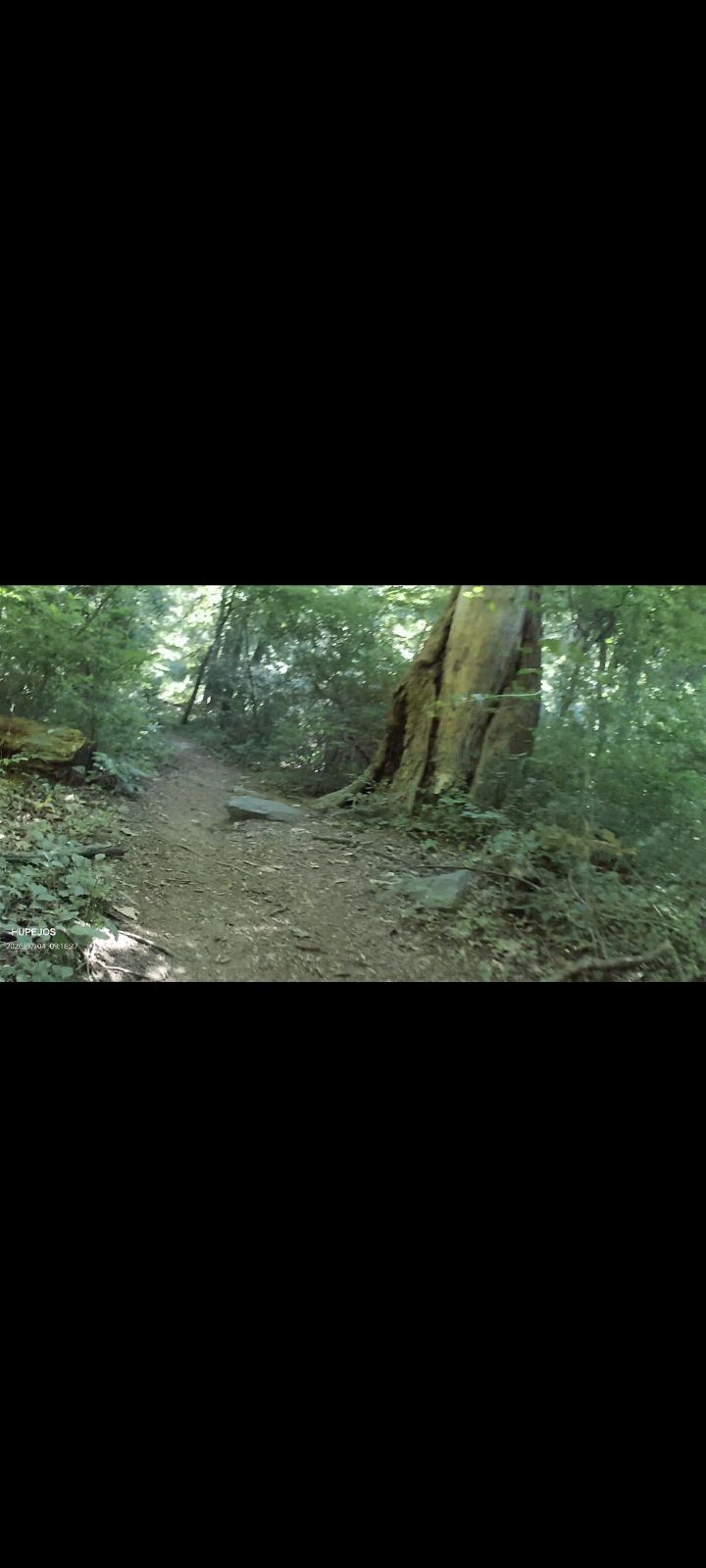 Ramsey Farm trail photo 5