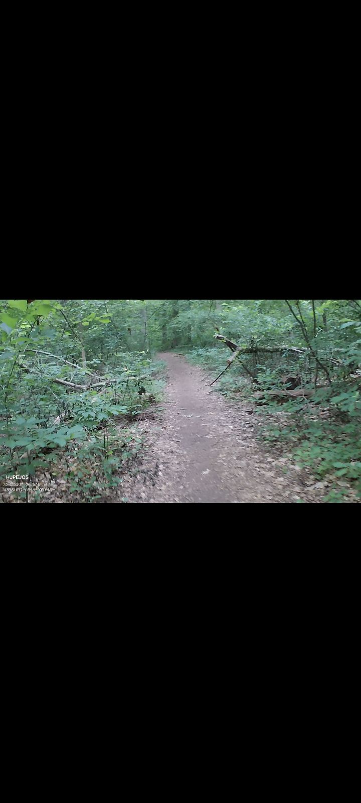 Ramsey Farm trail photo 4