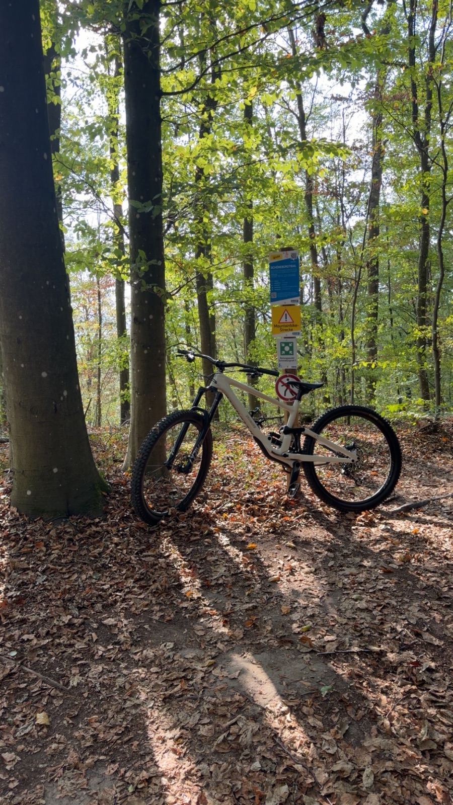 Schönebürgtrail trail photo 1