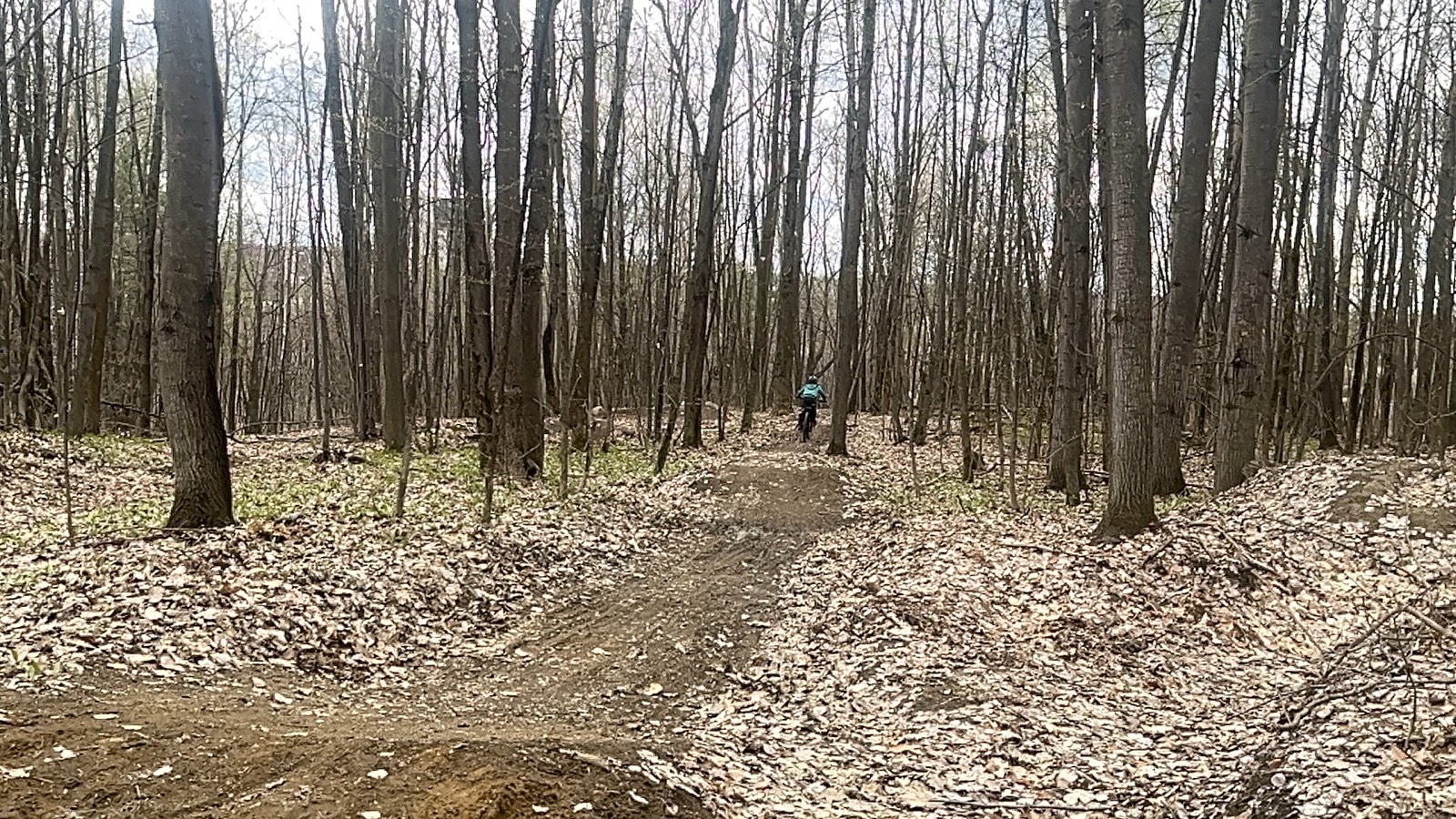 Moose Trail trail photo 1