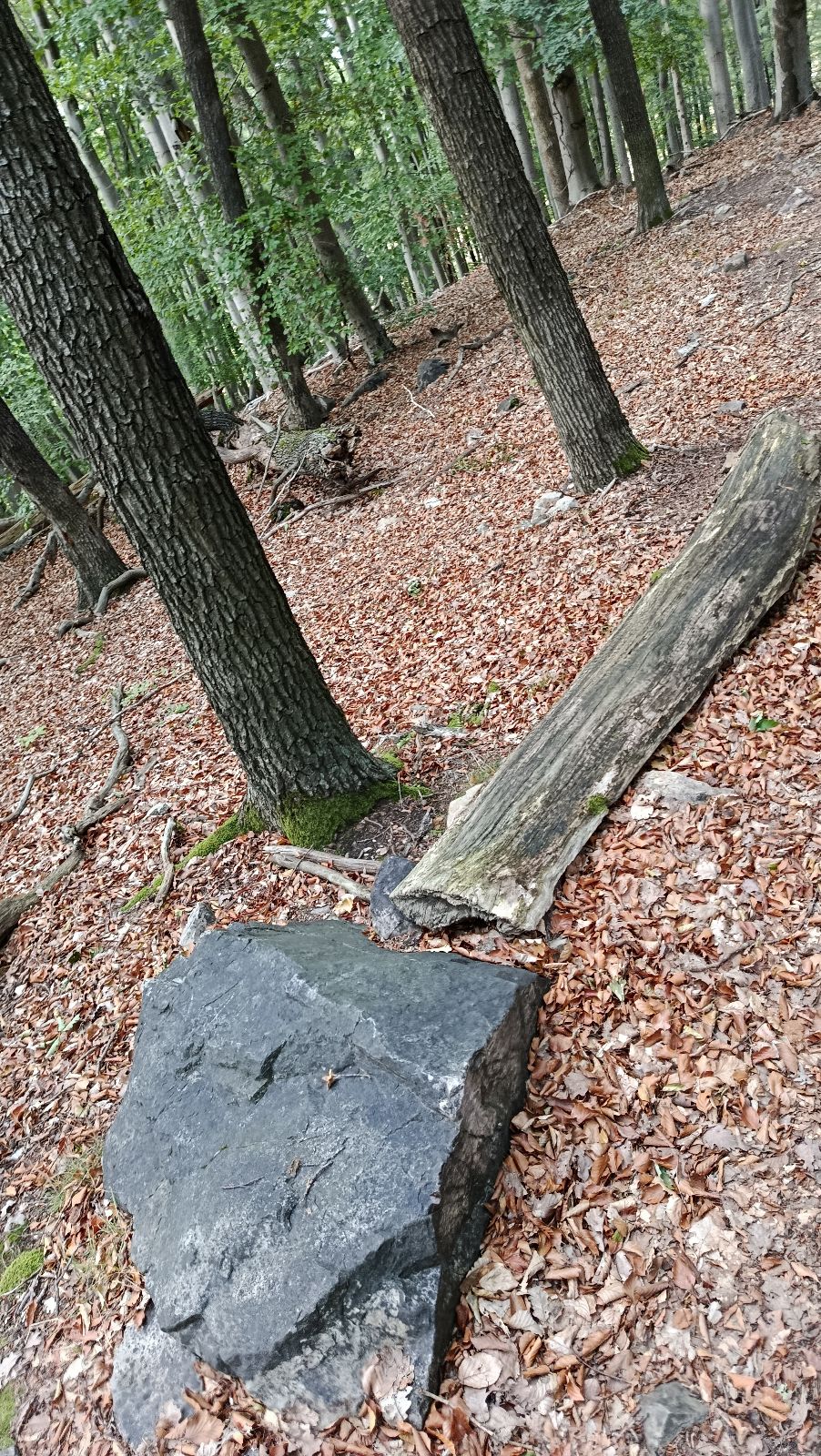 Enduro Pod Hvíždincem trail photo 2