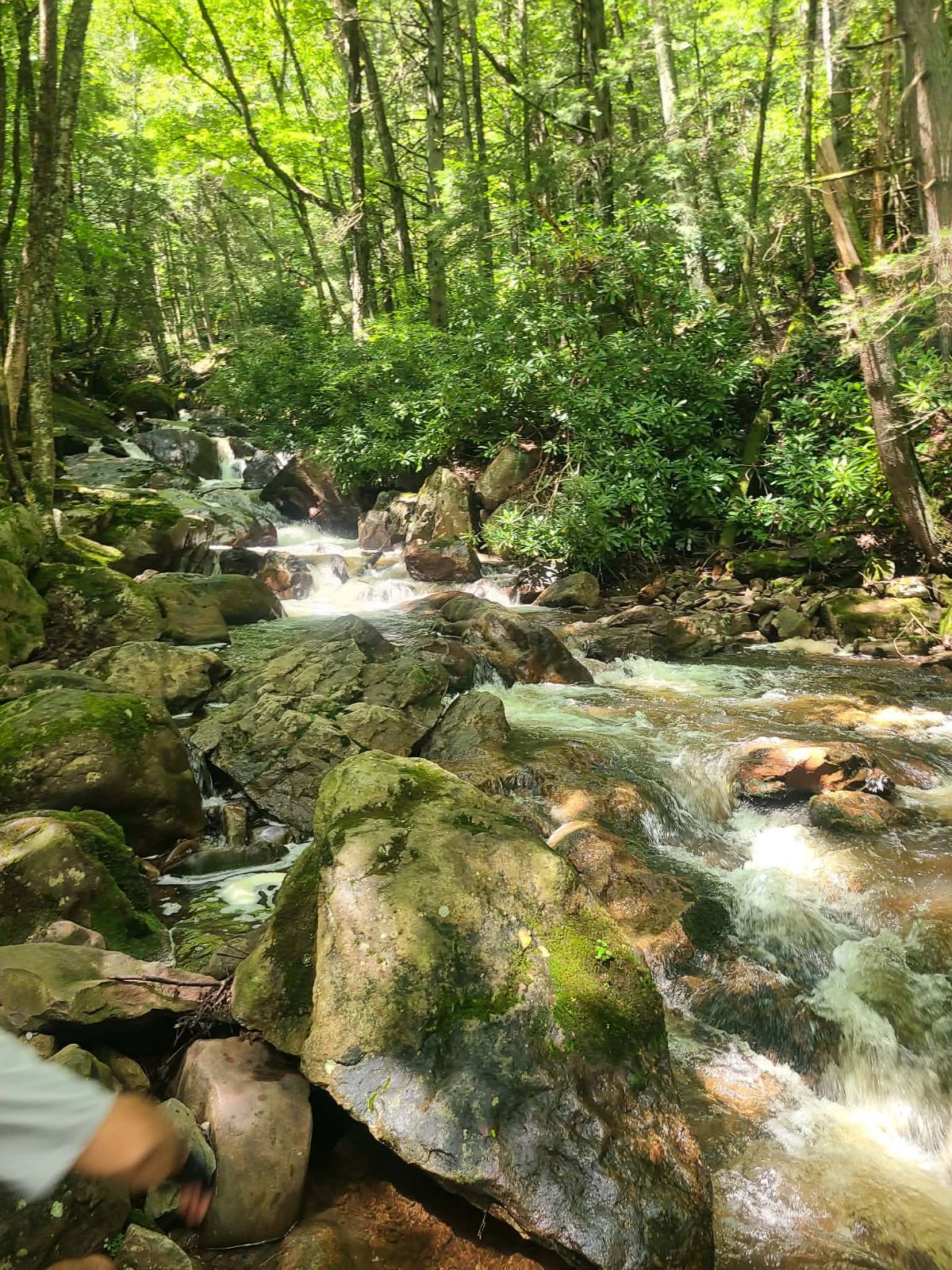 D&L: Jim Thorpe to White Heaven trail photo 3