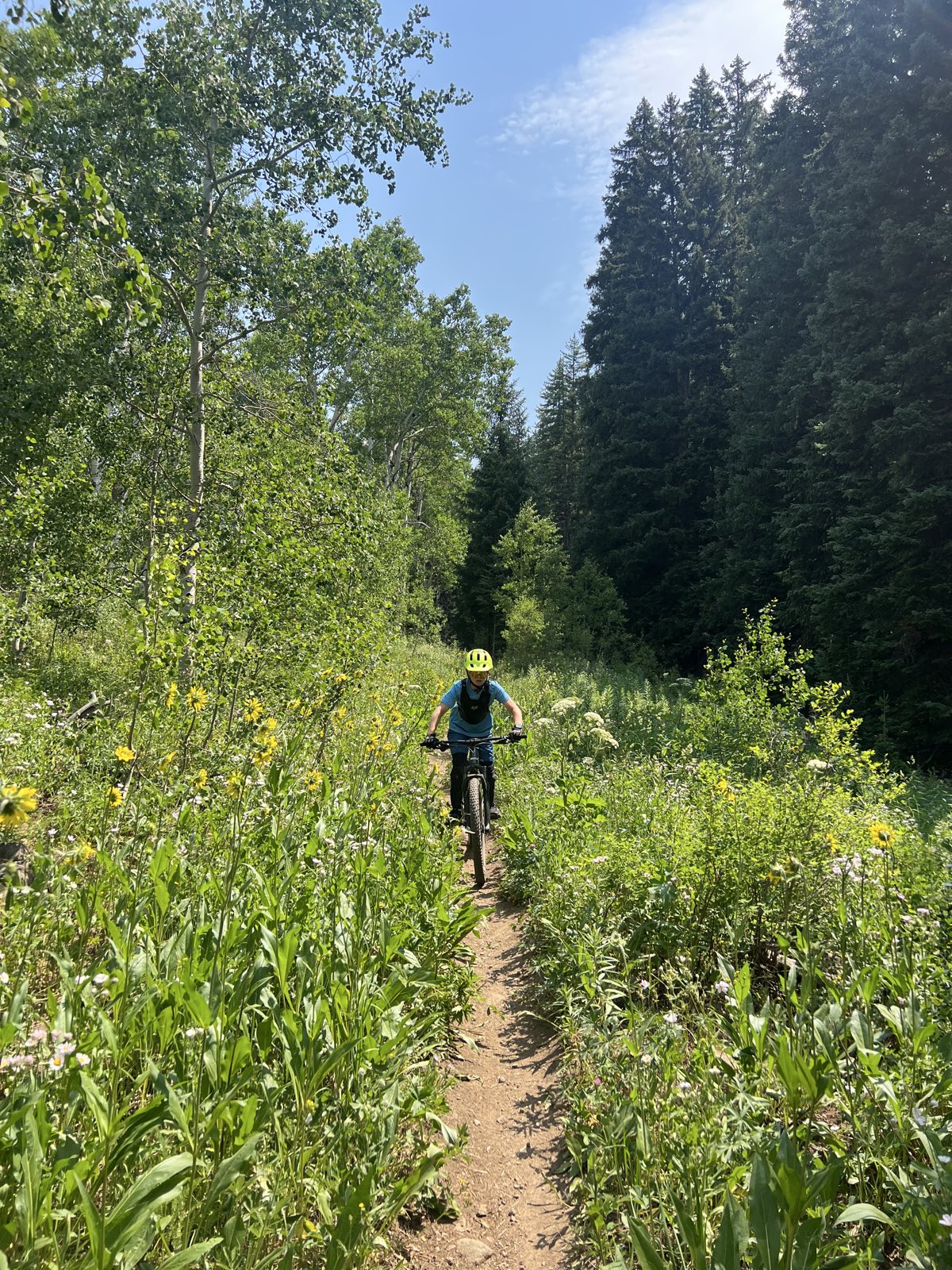 Cougar Ridge trail photo 1