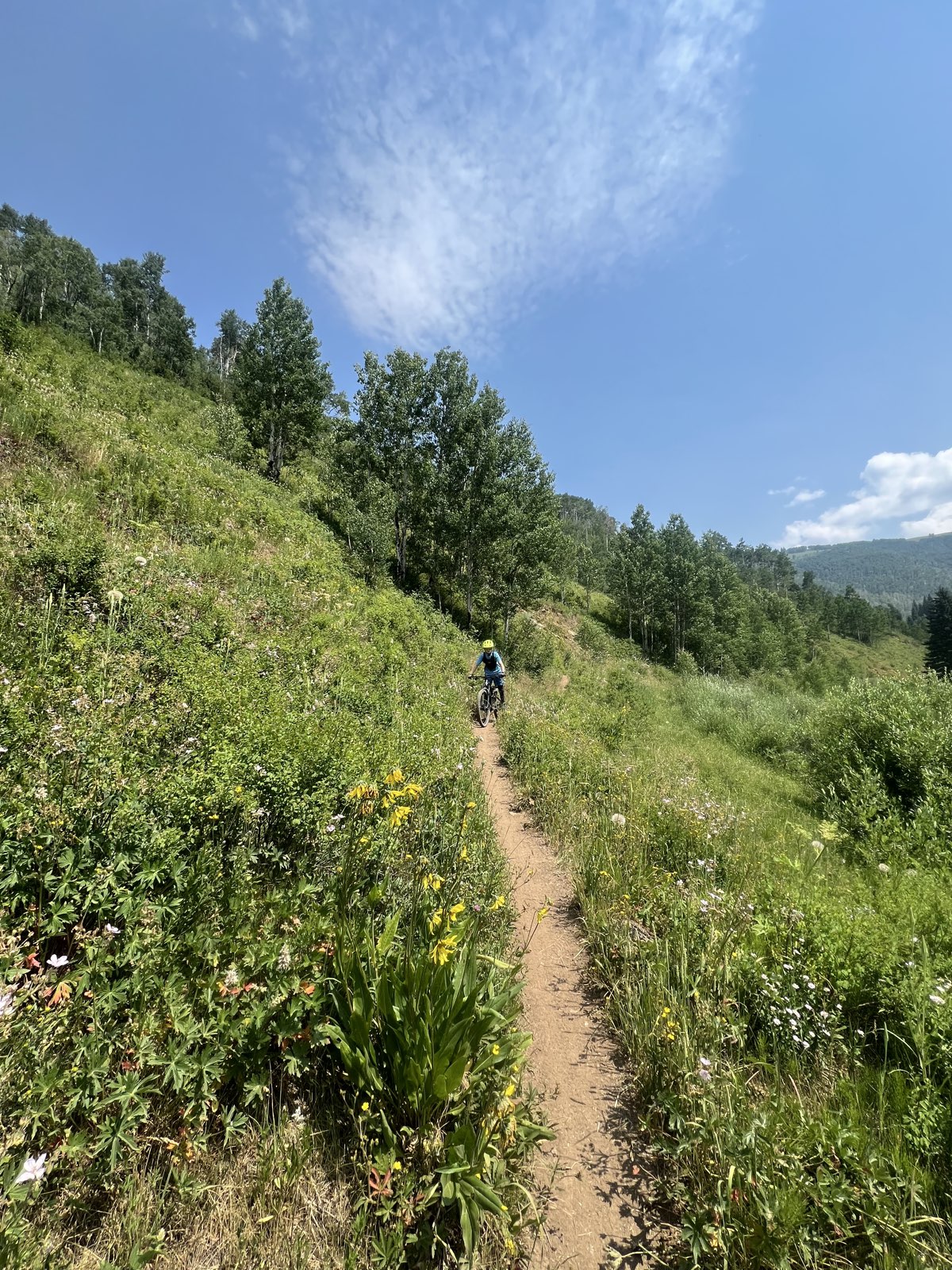 Cougar Ridge trail photo 2