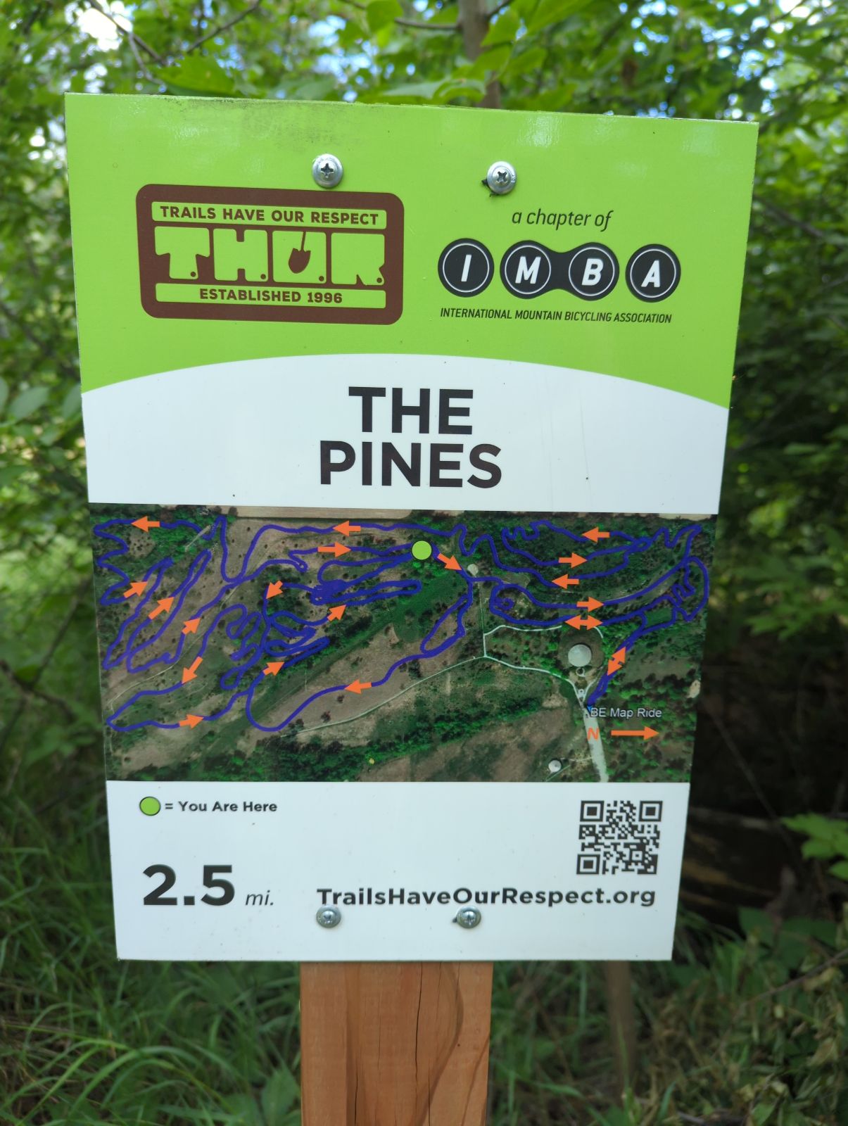 The Pines trail photo 4