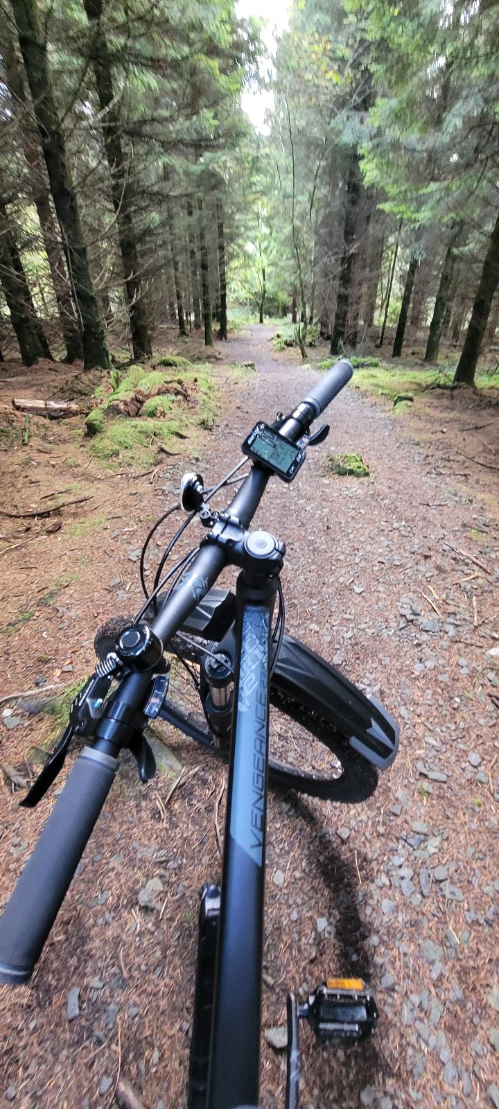 Red Route trail photo 2