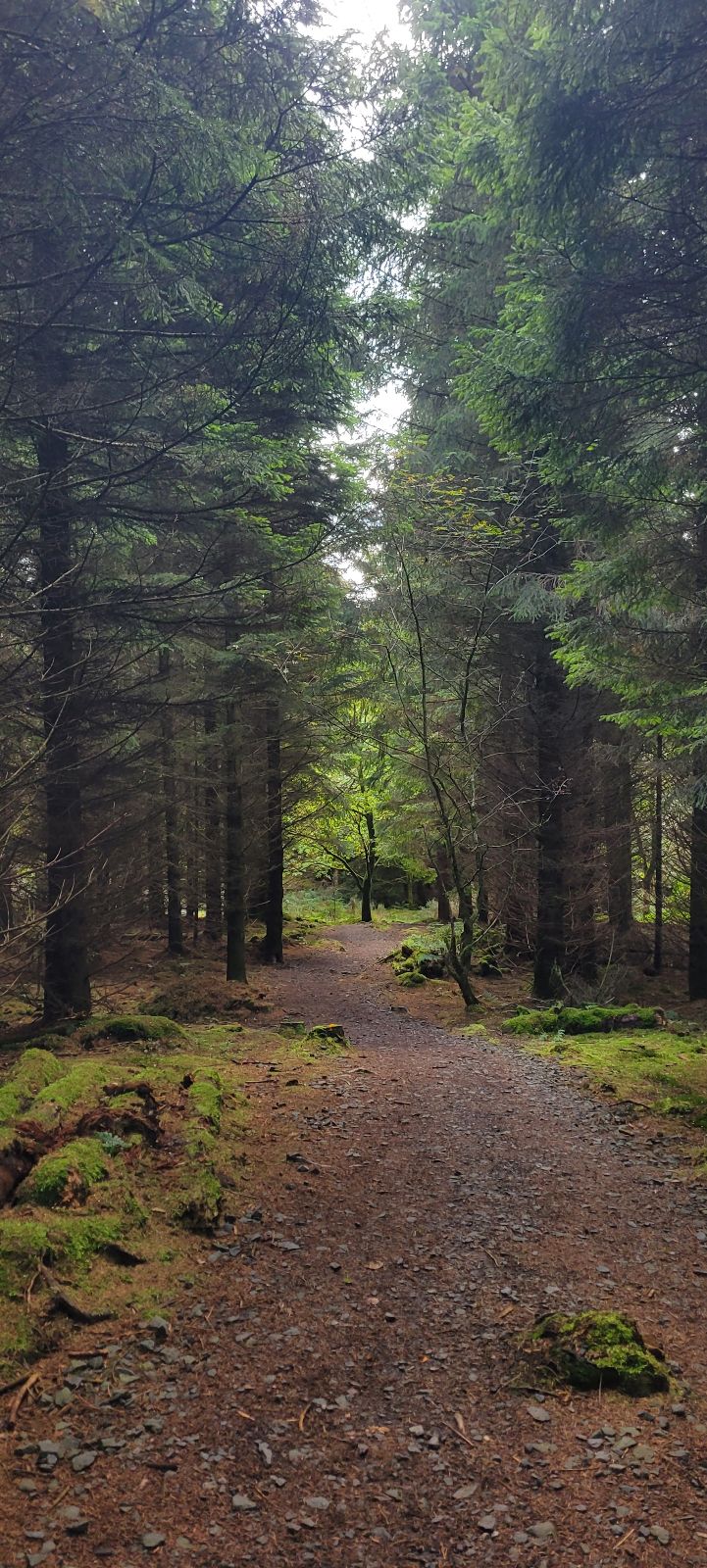 Red Route trail photo 3