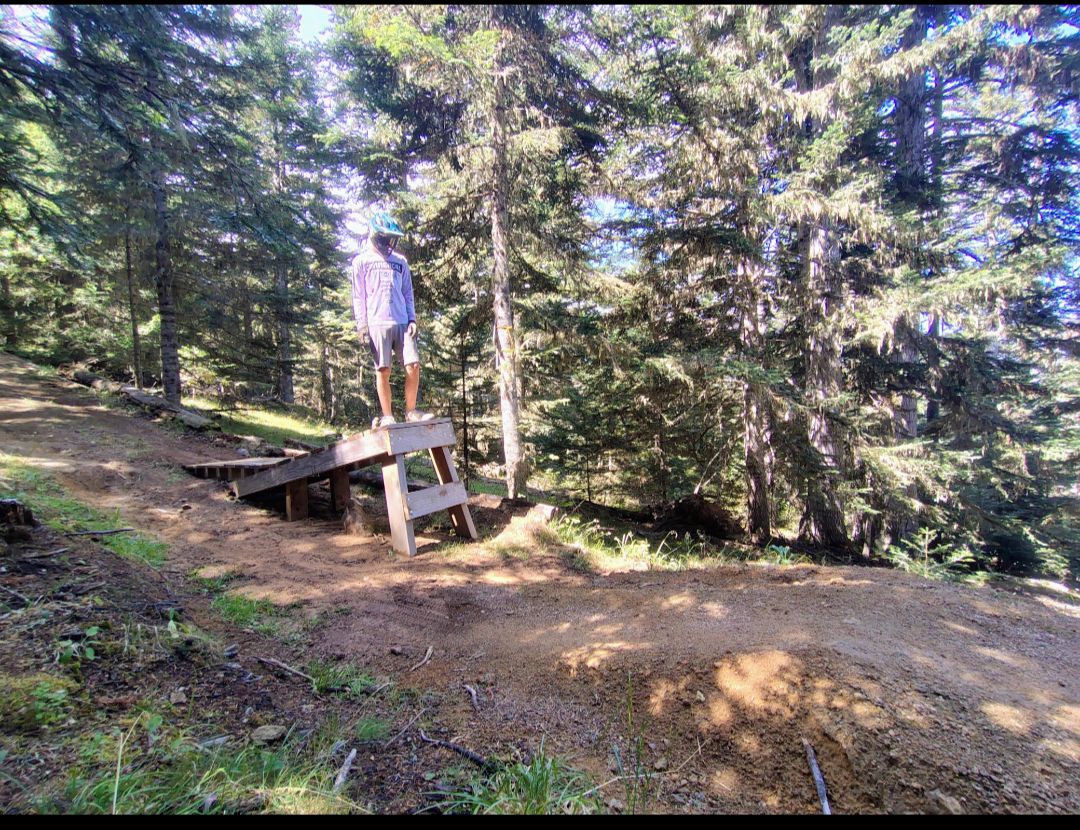 Blue Chicks - Top Half trail photo 1