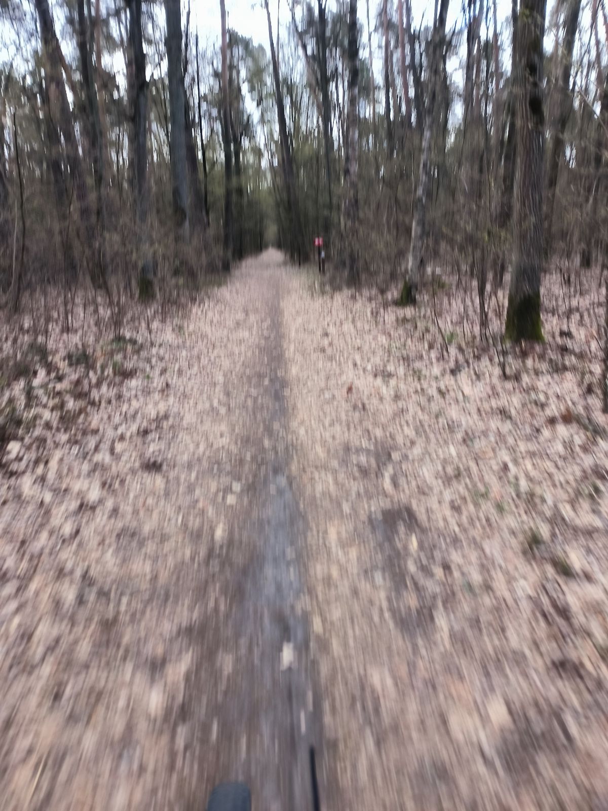 Pętla Chojnowskie trail photo 1