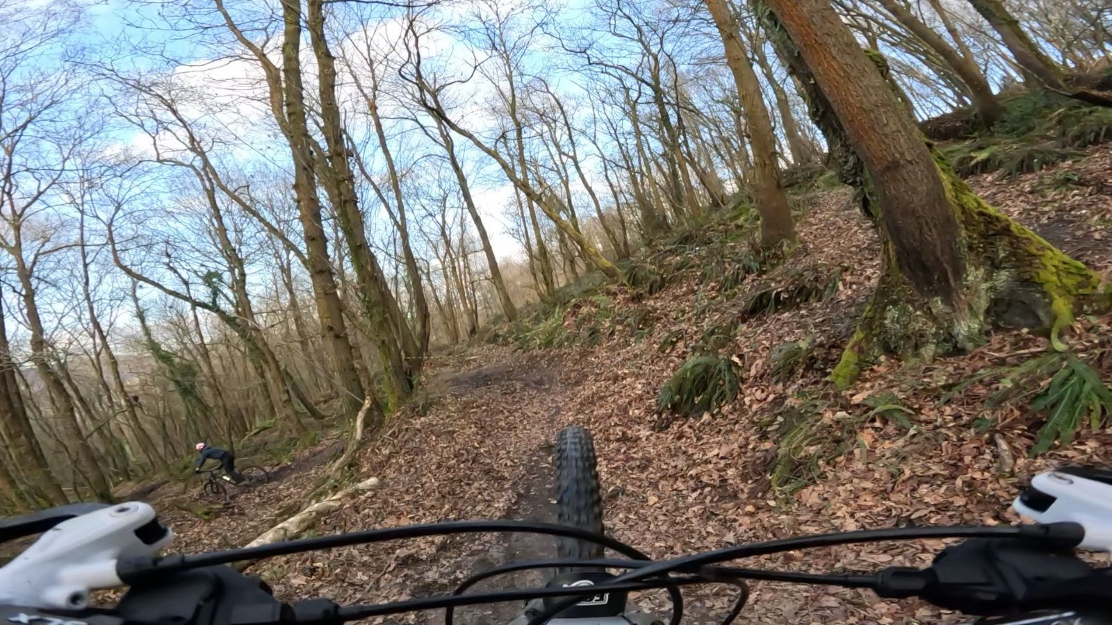 Bike Park de Lada trail photo 3