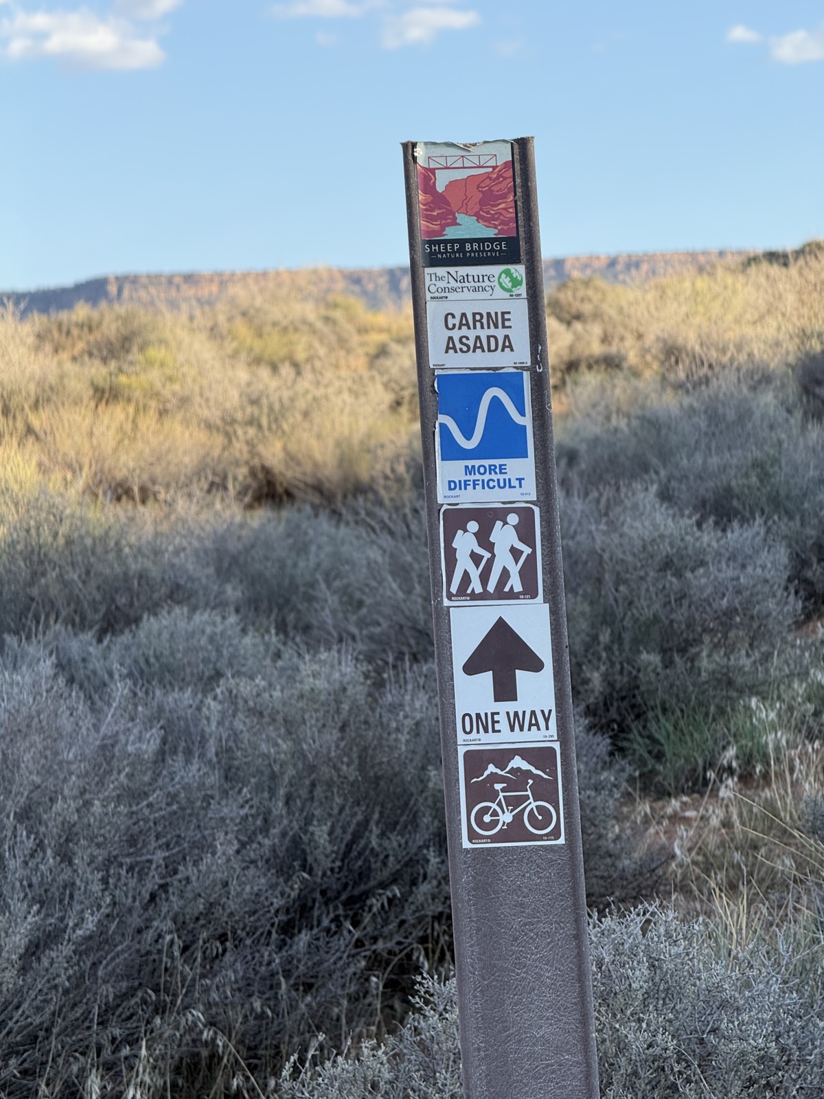 Carne Asada trail photo 2