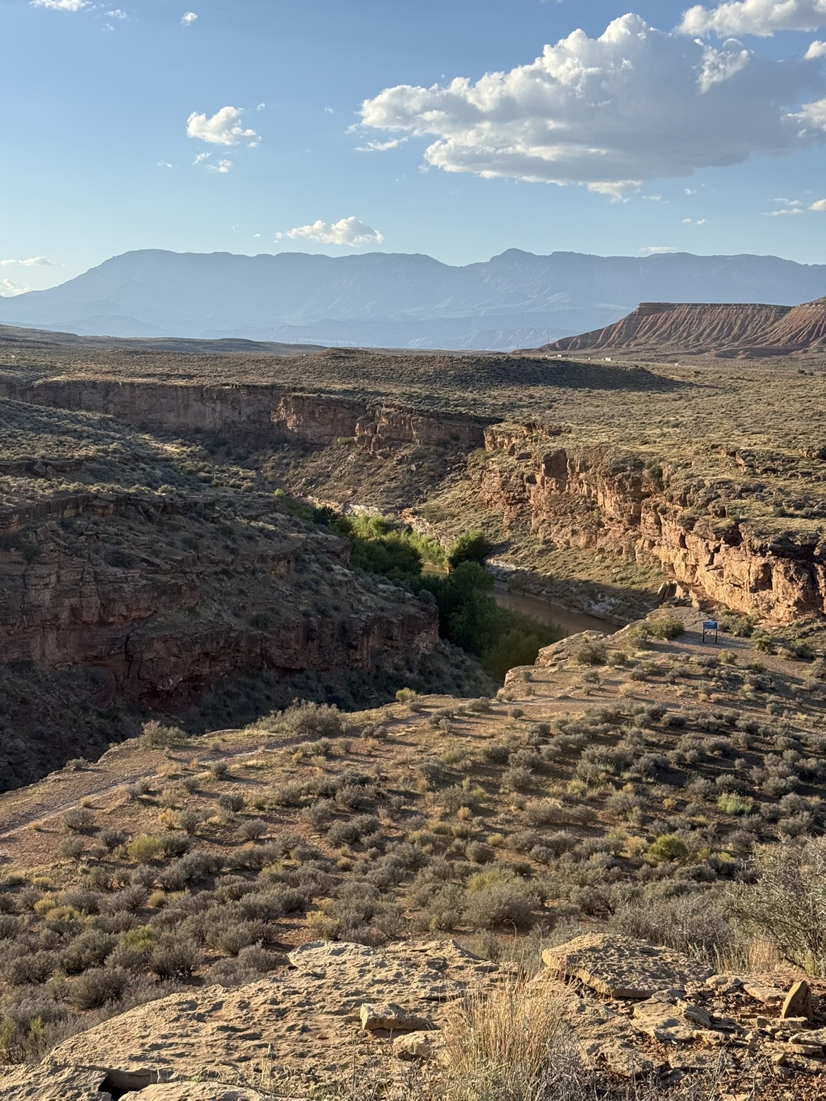 Carne Asada trail photo 1