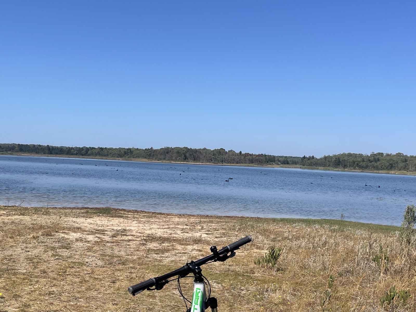 Reservoir Circuit Trail trail photo 1