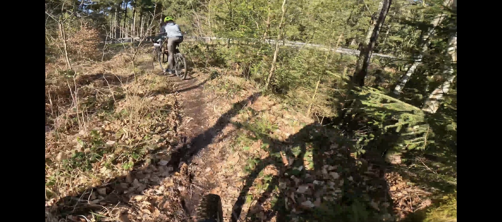 Hasselbachgraben trail photo 2