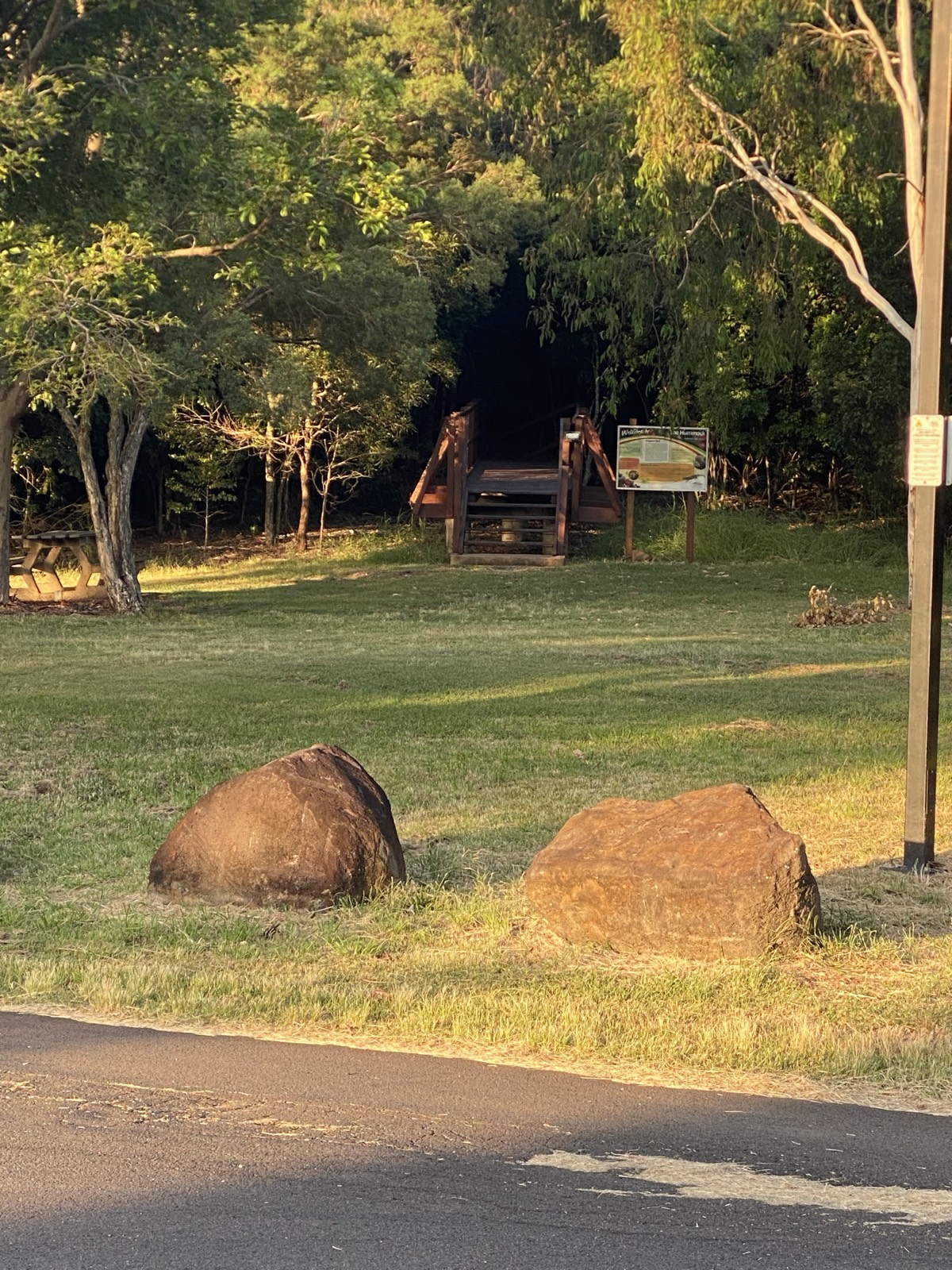 Hummock trail photo 1