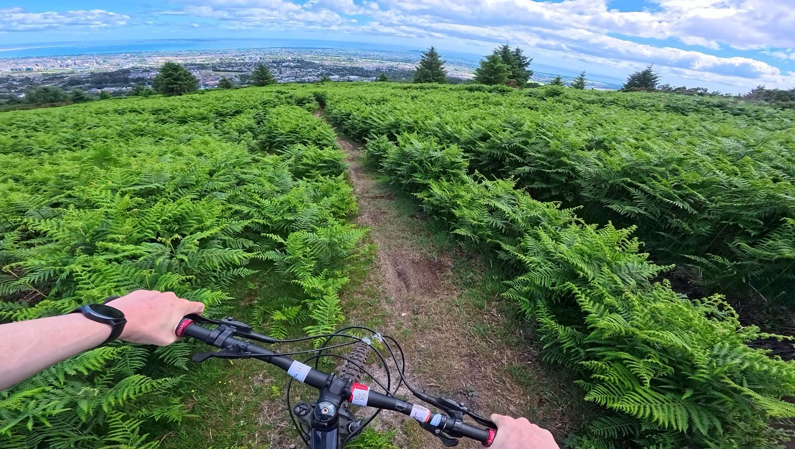 Homegrown Upper trail photo 1