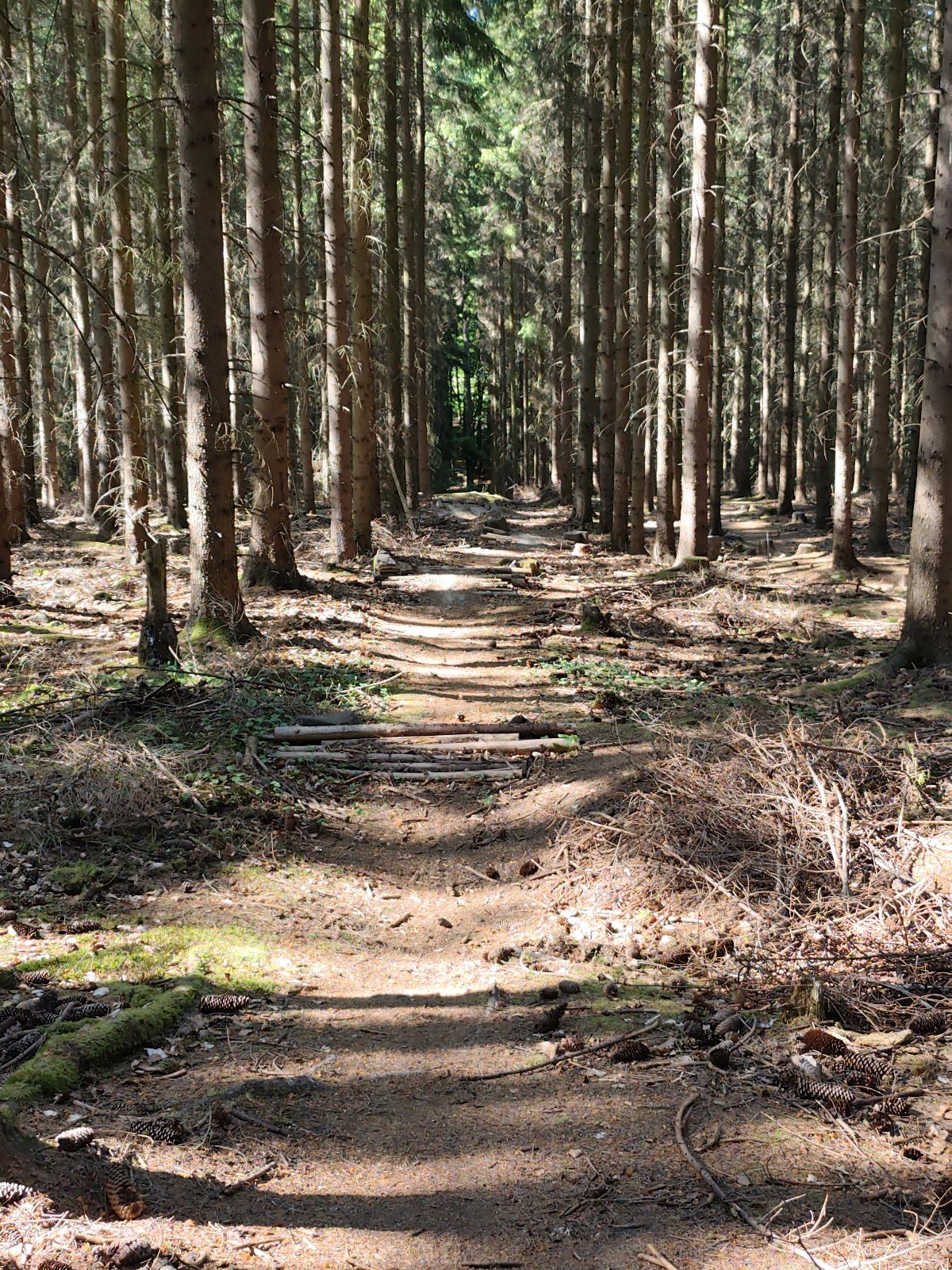 Okolí Prahy Blue trail photo 1