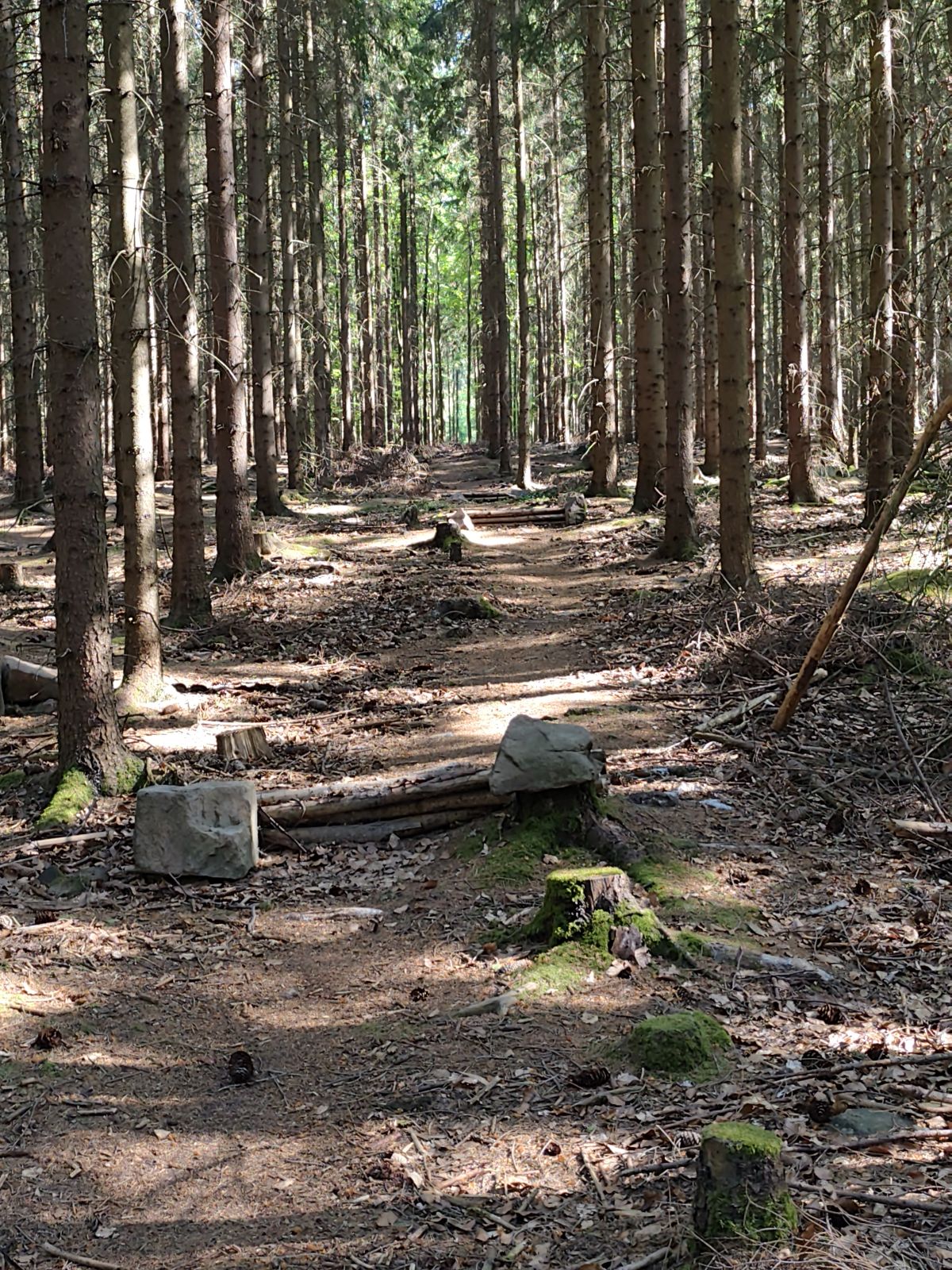 Okolí Prahy Blue trail photo 4