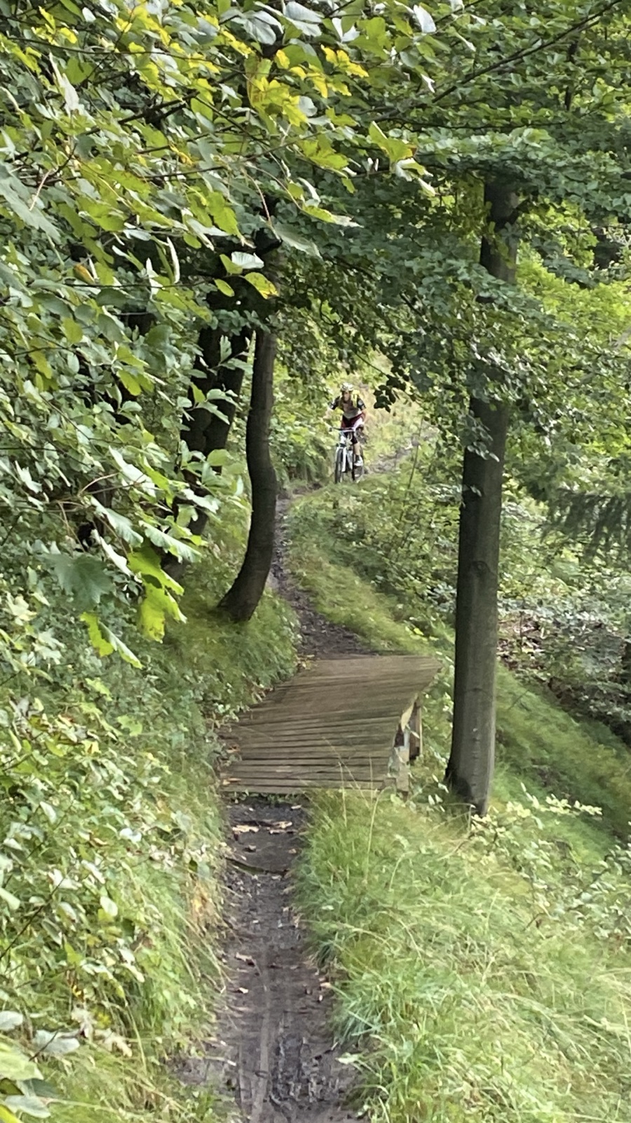 Laskomerské singletraily trail photo 1